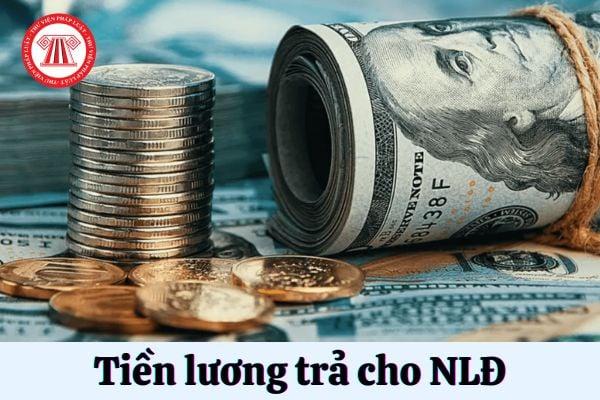 Khám phá các chương trình co up mien phi hấp dẫn nhất hiện nay
