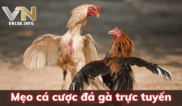 Cập nhật trực tiếp bóng đá bàn thắng mới nhất hôm nay